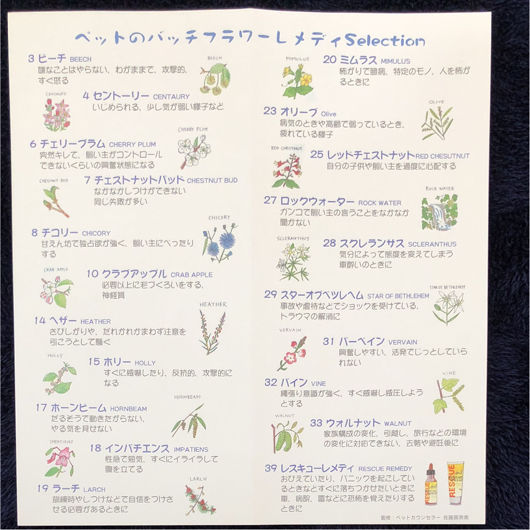 選べてお得なバッチフラワーレメディ 4本セット フラワーエッセンス