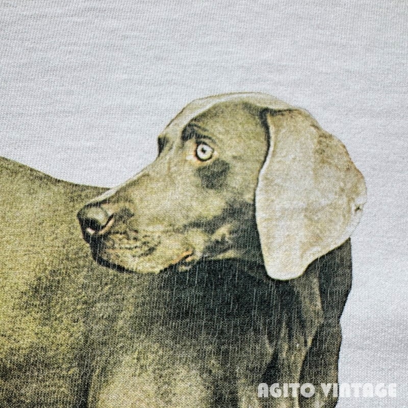 90's FRUIT OF THE LOOM WILLIAM WEGMAN ウィリアムウェグマン 