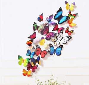 ウォールシール　butterfly