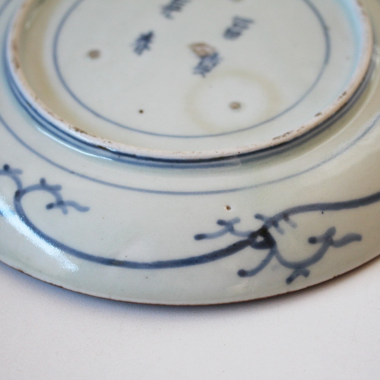 古伊万里染付松菊唐草文皿（その3）d18.8cm Imari Blue and White