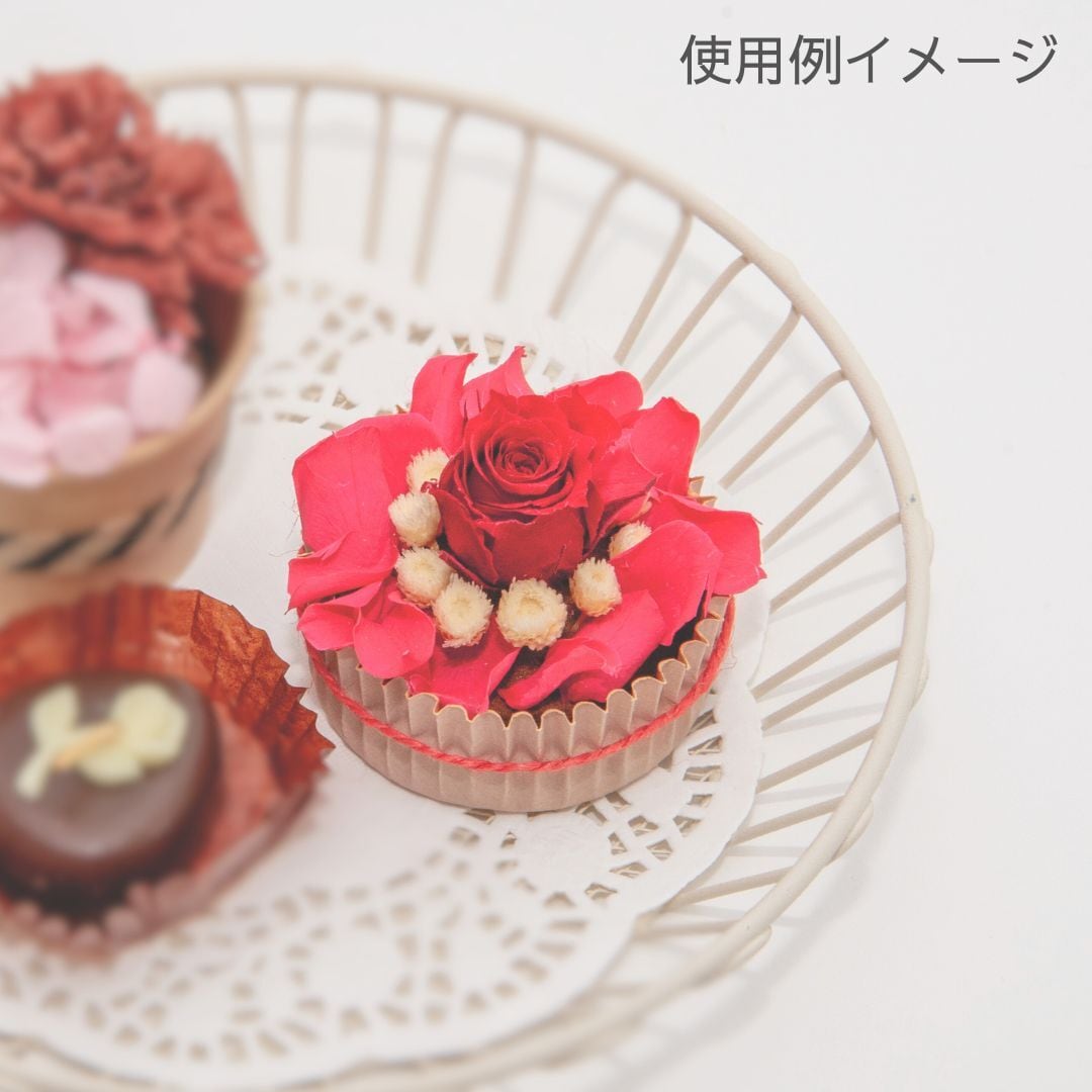 ピッコラBローズ 3P | ＋FLOWER・プラスフラワー・プリザーブド