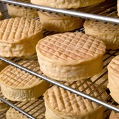 エポワス AOP シャランセ フランス ブルゴーニュ グラスフェッド ウォッシュ チーズ250g Epoisses Chalancey AOP Washed Rind Cheese Grassfed 250g
