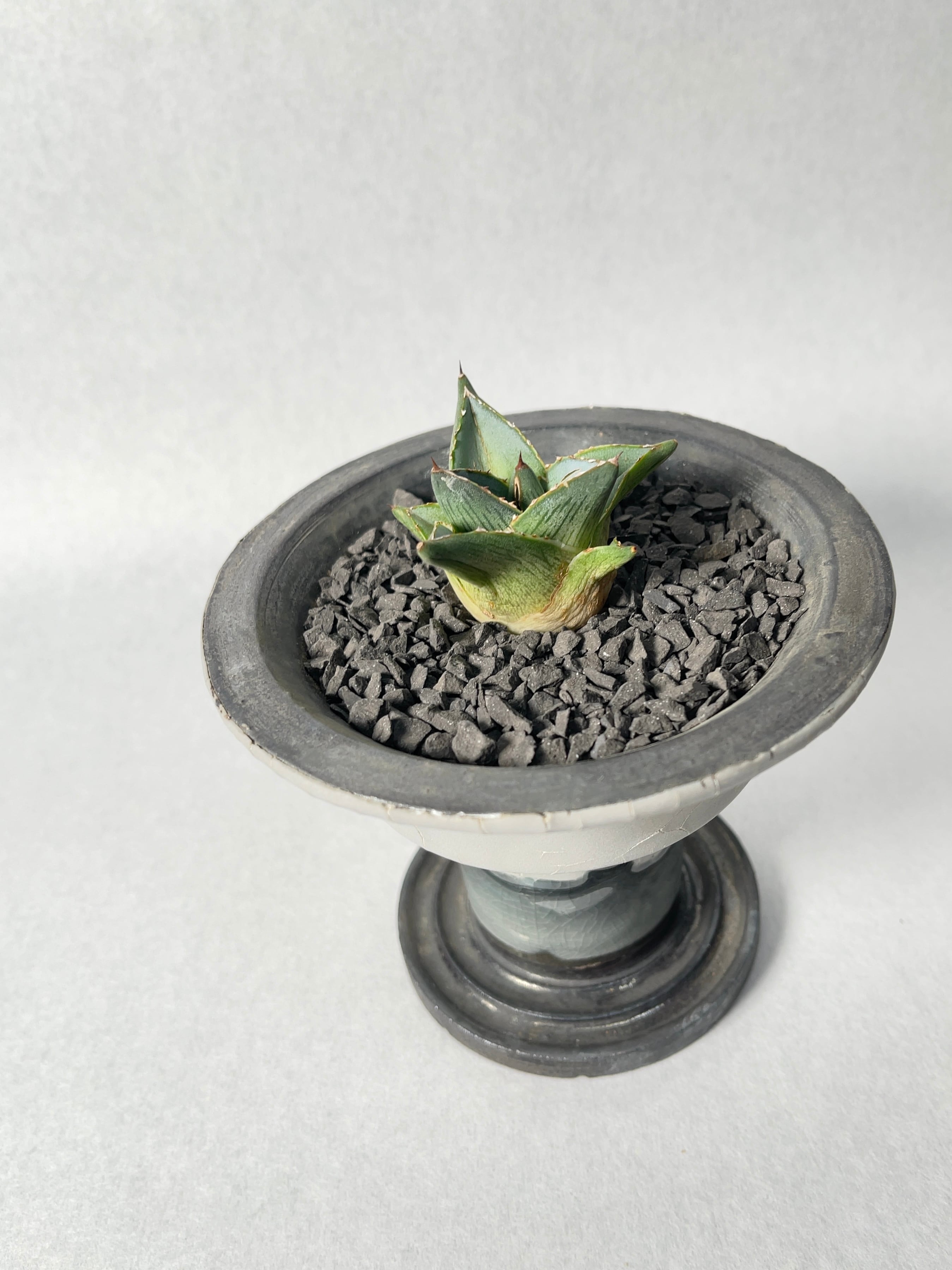 3a2e90221ffaf4901812c077f5ff50