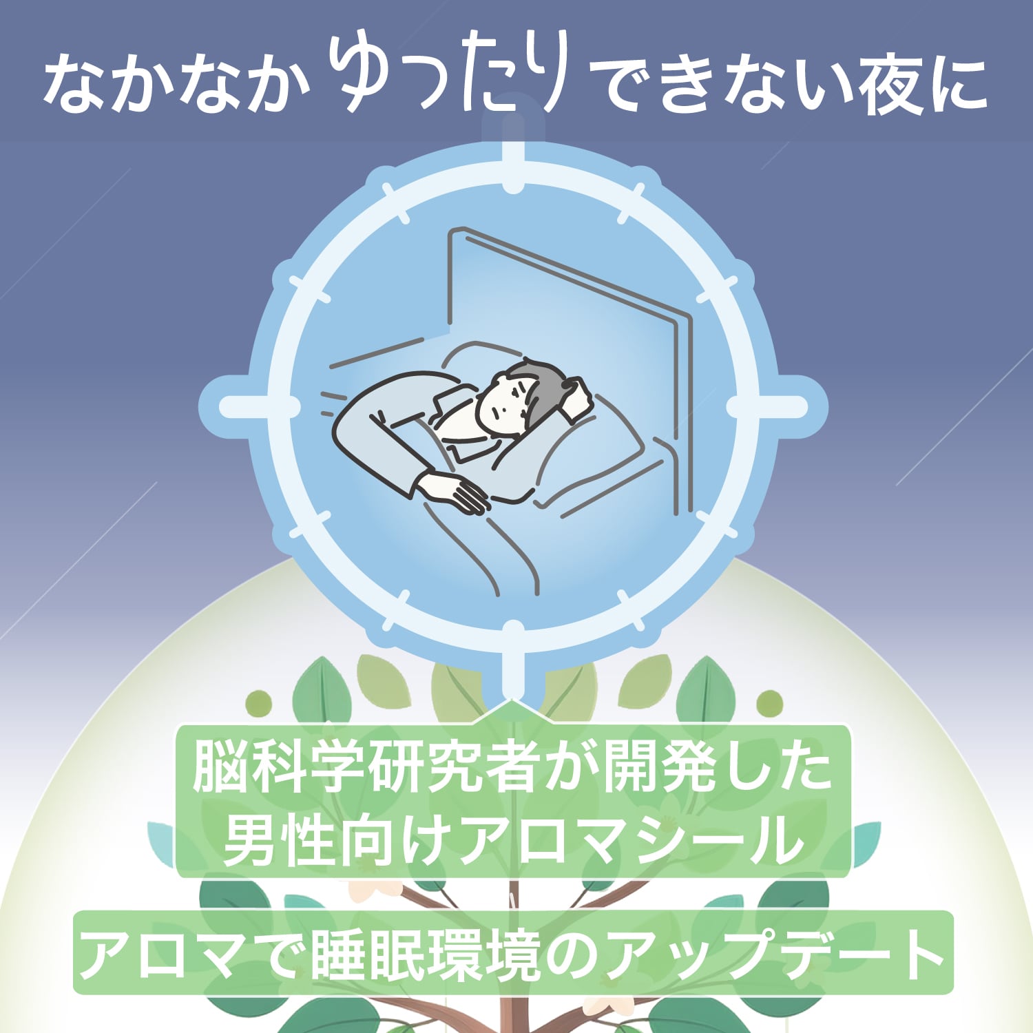 ゆったり空間のタネ 1袋（爽やかな柑橘と森の香り）＊送料無料