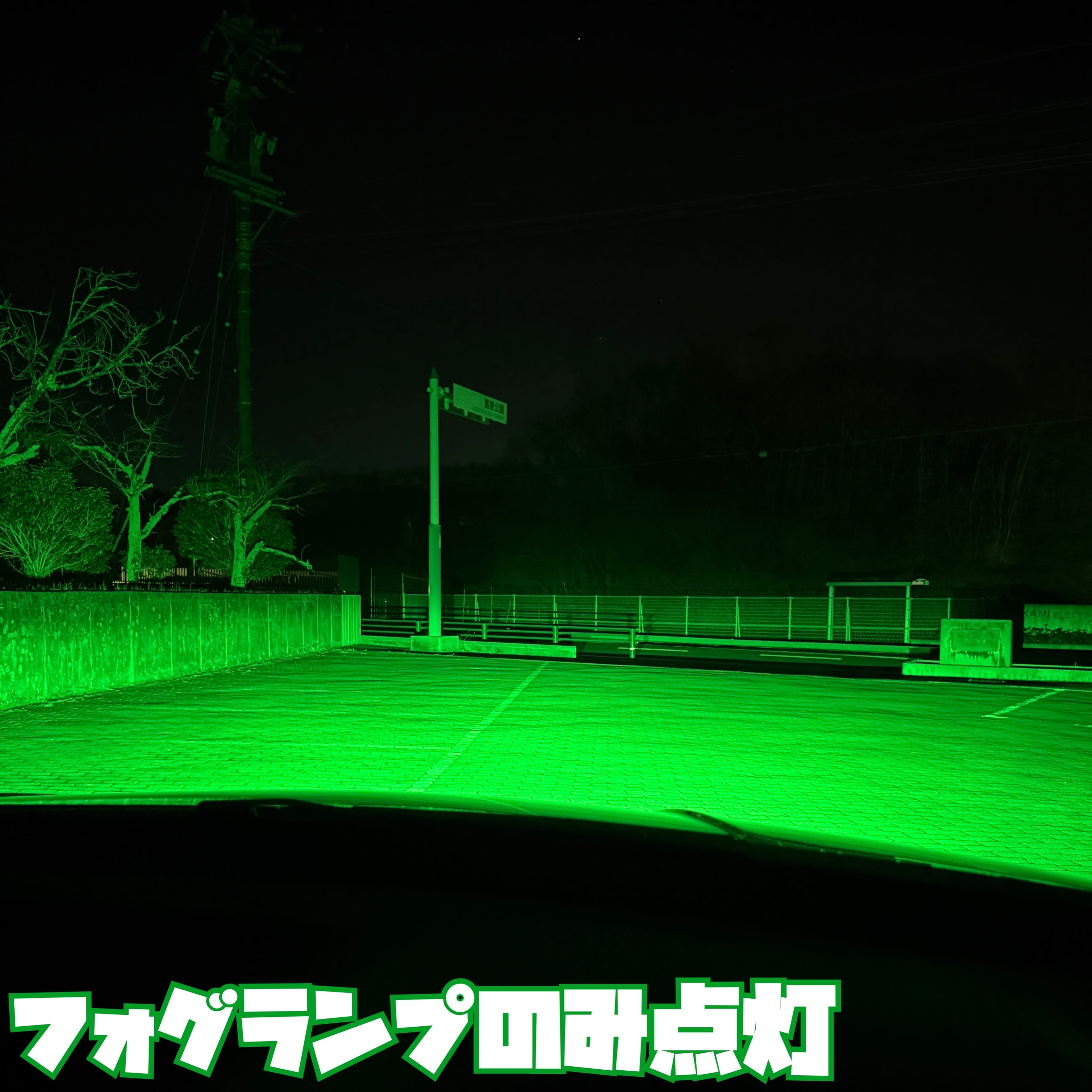 超爆光 ディープグリーンフォグランプ 実測16600lm越え H8/H11/H16 HB4