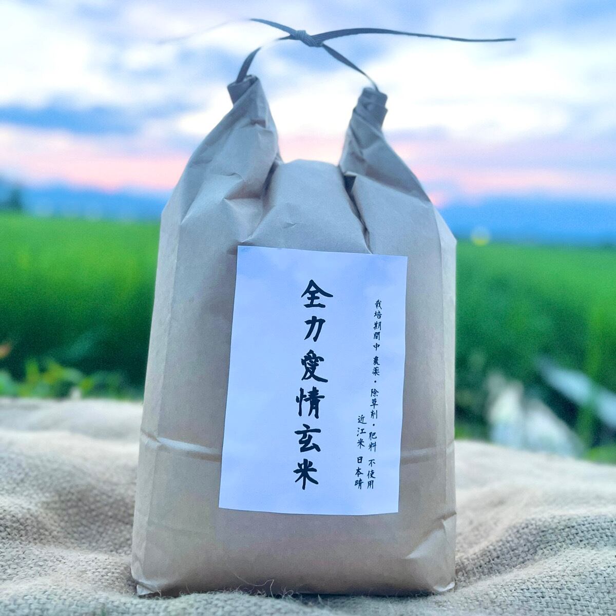 完売【備蓄用真空パック】 『神の米』（ 玄米 5kg 栽培期間中農薬不