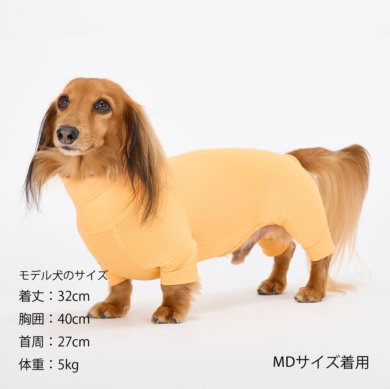 INSECT SHIELD SKIN TIGHT SUIT（M,MD,L） インセクトシールドスキン