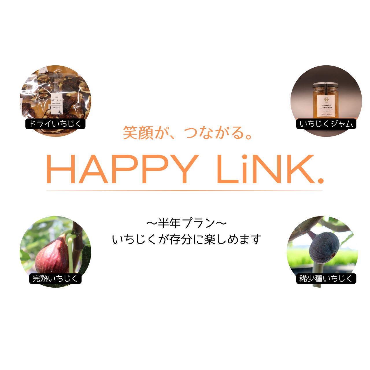 笑顔がつながるHAPPY LiNK. 半年プラン　いちじくを存分に楽しめます