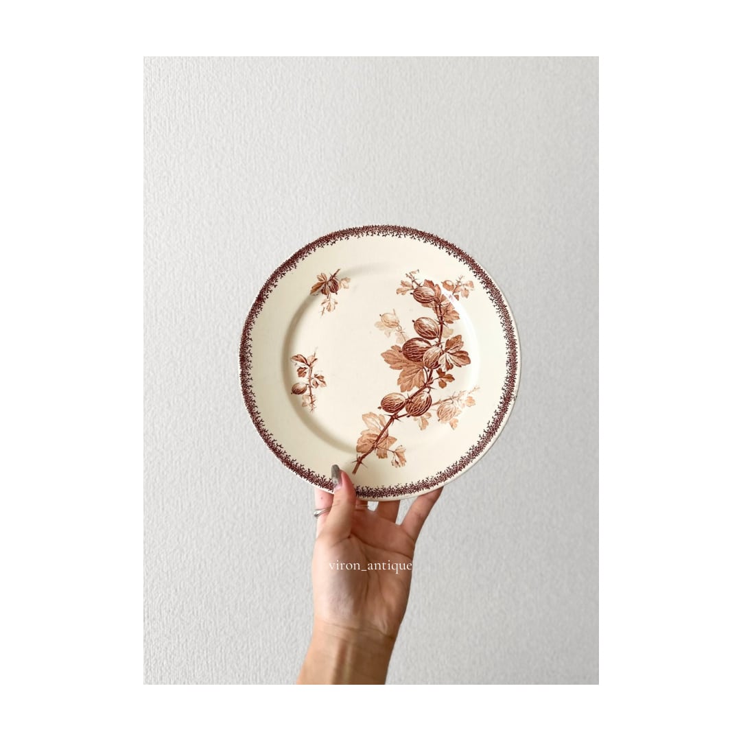 美品　フランス　アンティーク　サルグミンヌ　favori 平皿プレート　赤 フランス サルグミンヌ(FAVORI) 平皿 プレート2枚セット 赤色