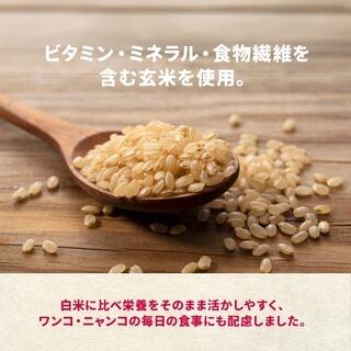 そのまんま　玄米雑炊 [真鯛ほぐし身入り]