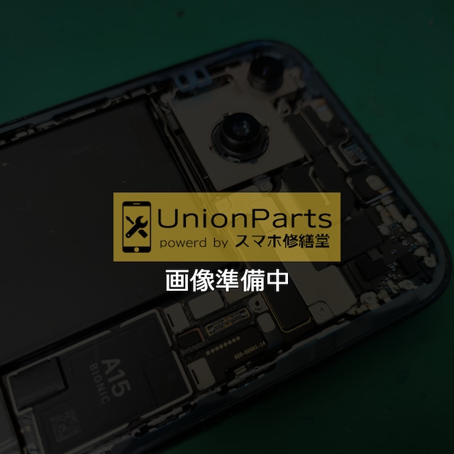 Switch Lite ドックコネクタ 取り外し品
