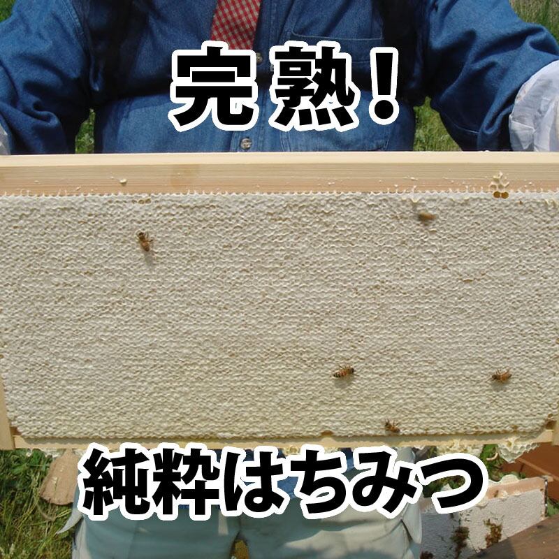袈裟美蜂蜜（百花蜜）600g | 鈴木養蜂場 はちみつ家