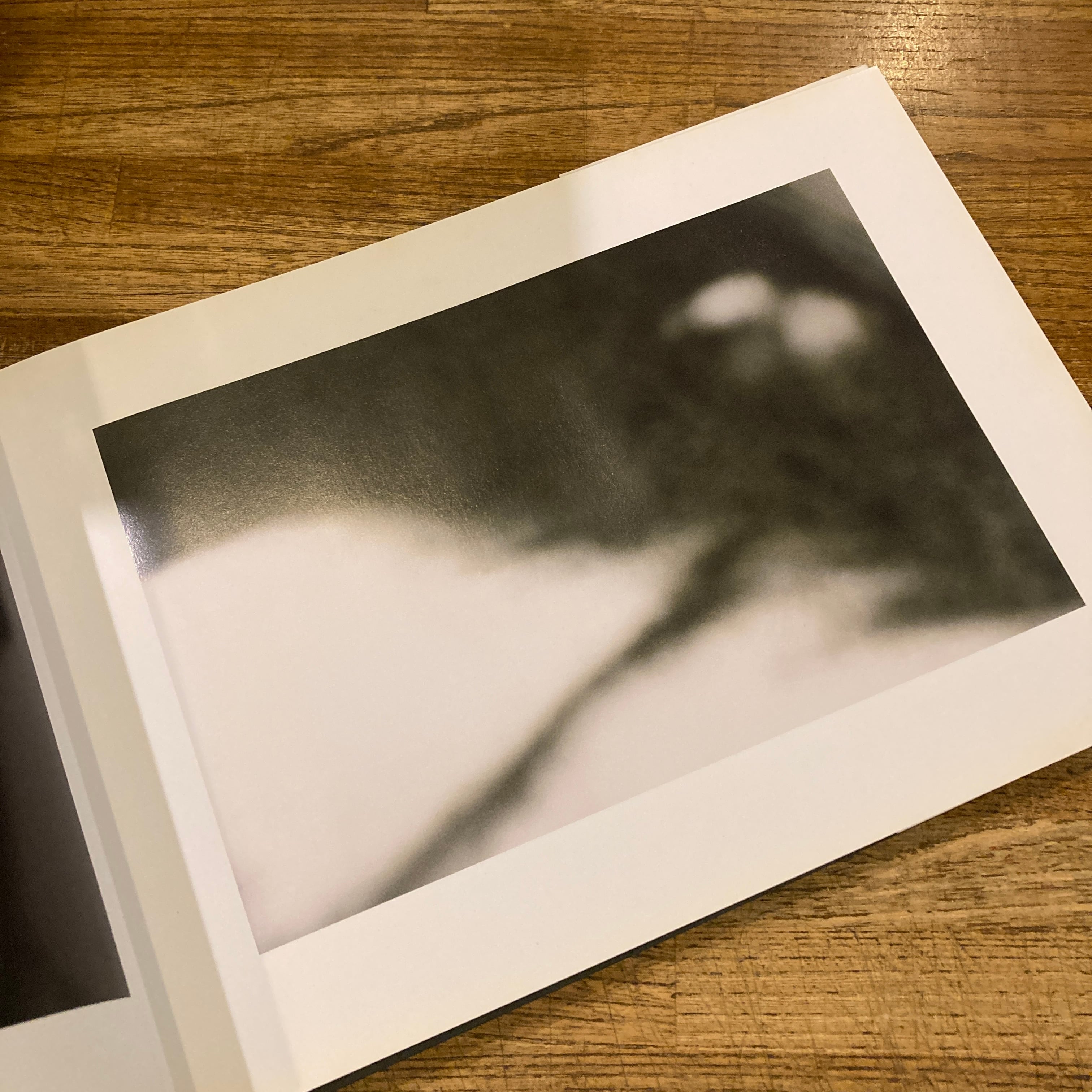 Arnulf Rainer: Neue Fotoarbeiten / New Photographs | 百年