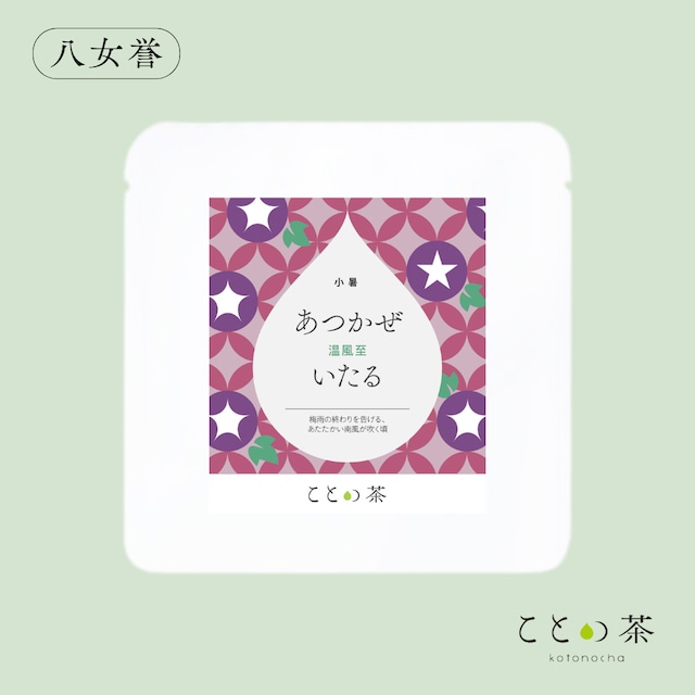 〈小暑〉 ことの茶　八女誉、玉露白折、本蒸し茶