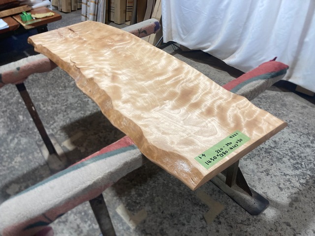 トチ9221　トチの木　一枚板無垢 乾燥材　1450x320-390x30mm カウンター　棚　テレビ台　カウンター　センターテーブル　窓台 　橡　栃