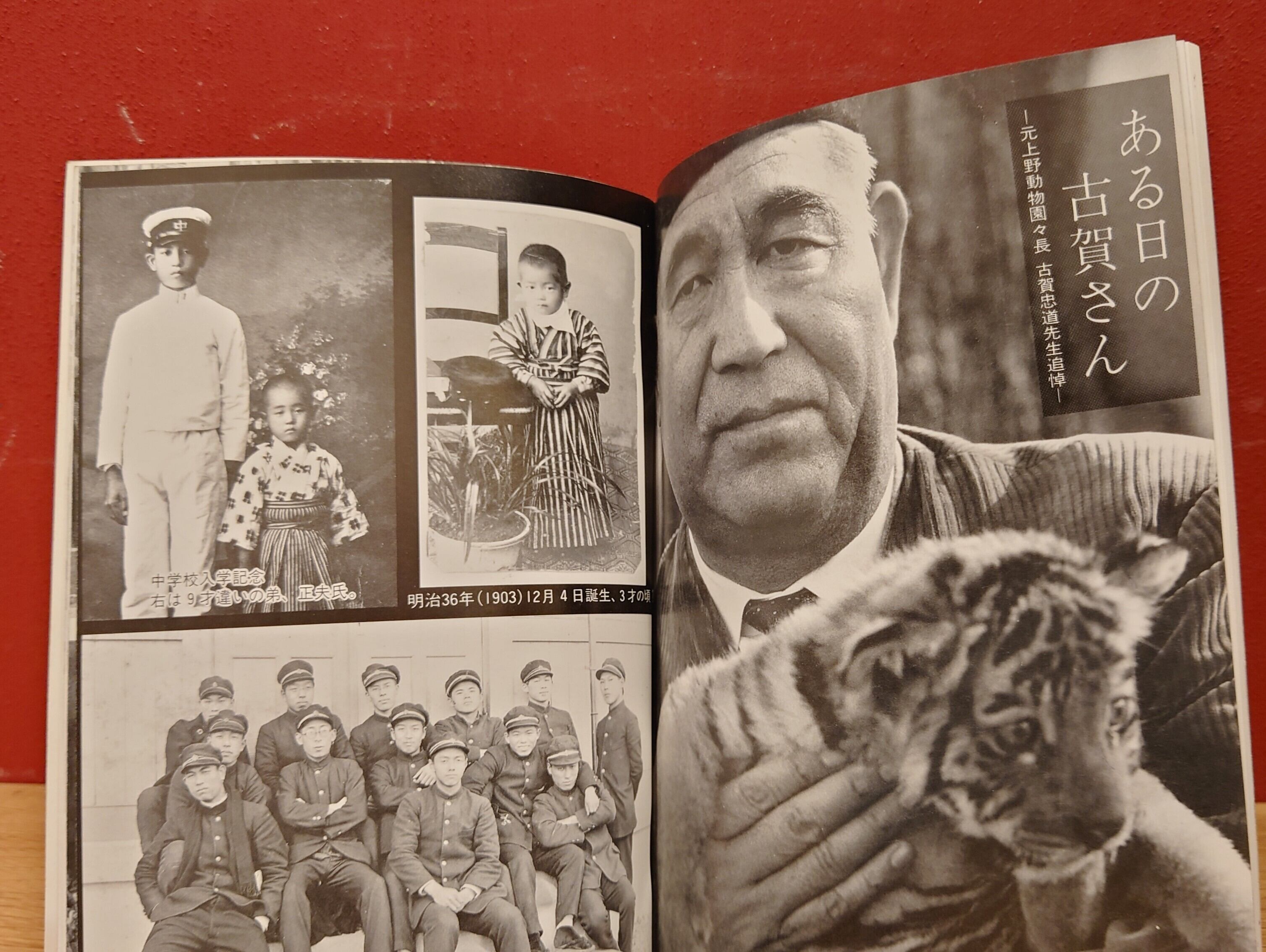 うえの 1986年6月号/通巻326号（元上野動物園園長 古賀忠道先生追悼号