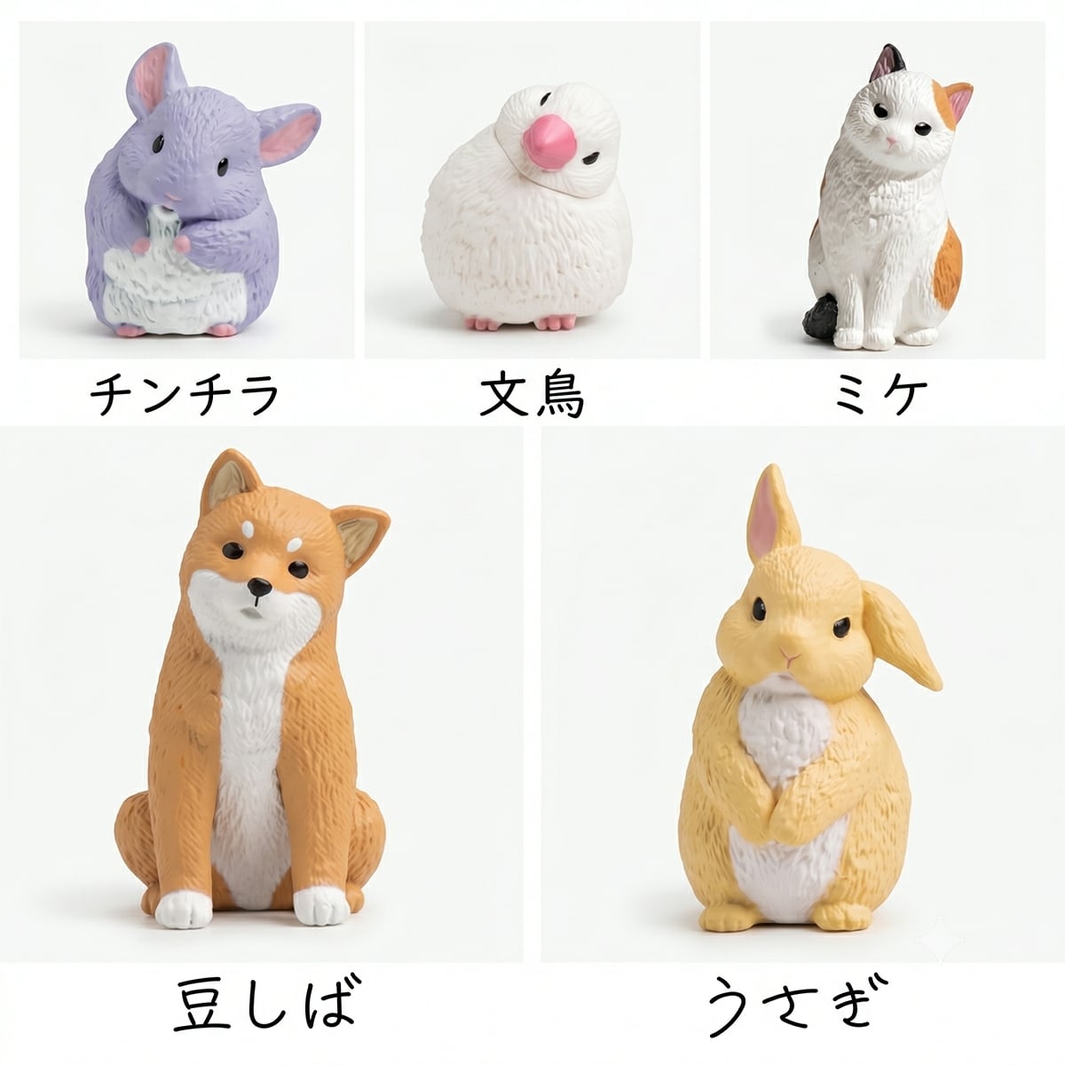 フルコンプ】 きょとん。 【全5種セット＋DPディスプレイ台紙おまけ