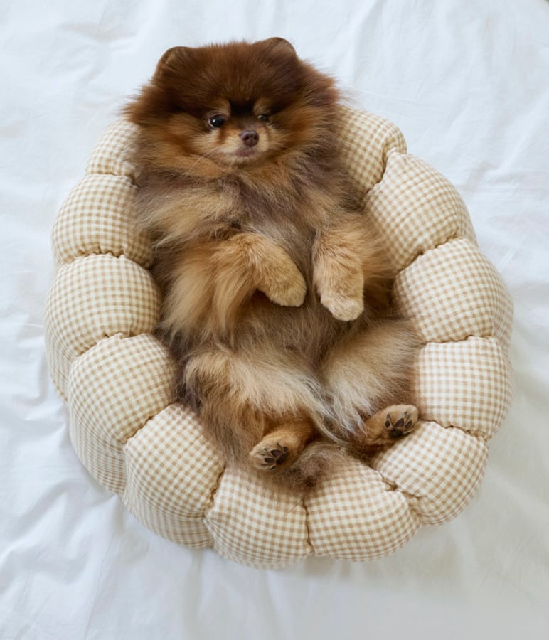 予約【azalea】Soft Mini Gingham Canelé Cushion (beige)