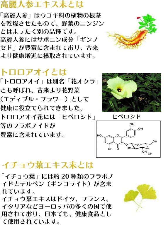 ジンカンカ www.krzysztofbialy.com