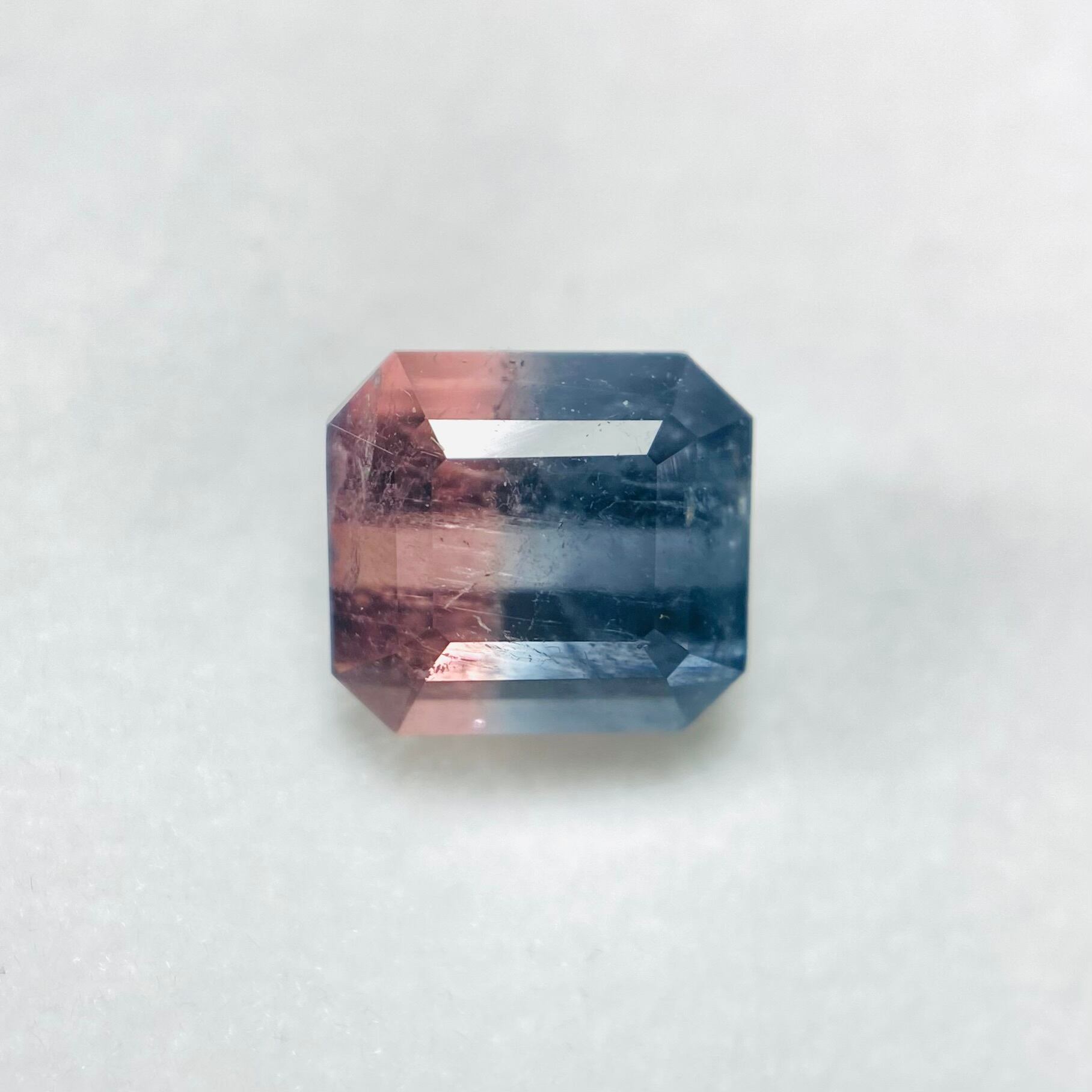 2色の紫陽花 バイカラートルマリン