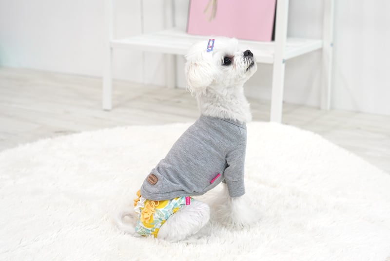 フリルフルーツサニタリーパンツ S 〜 L 2color / 犬 犬用 マナーパンツ 犬 生理パンツ しつけ用品 小型犬 中型犬 |  ペット用品ショップ NARI PET powered by BASE