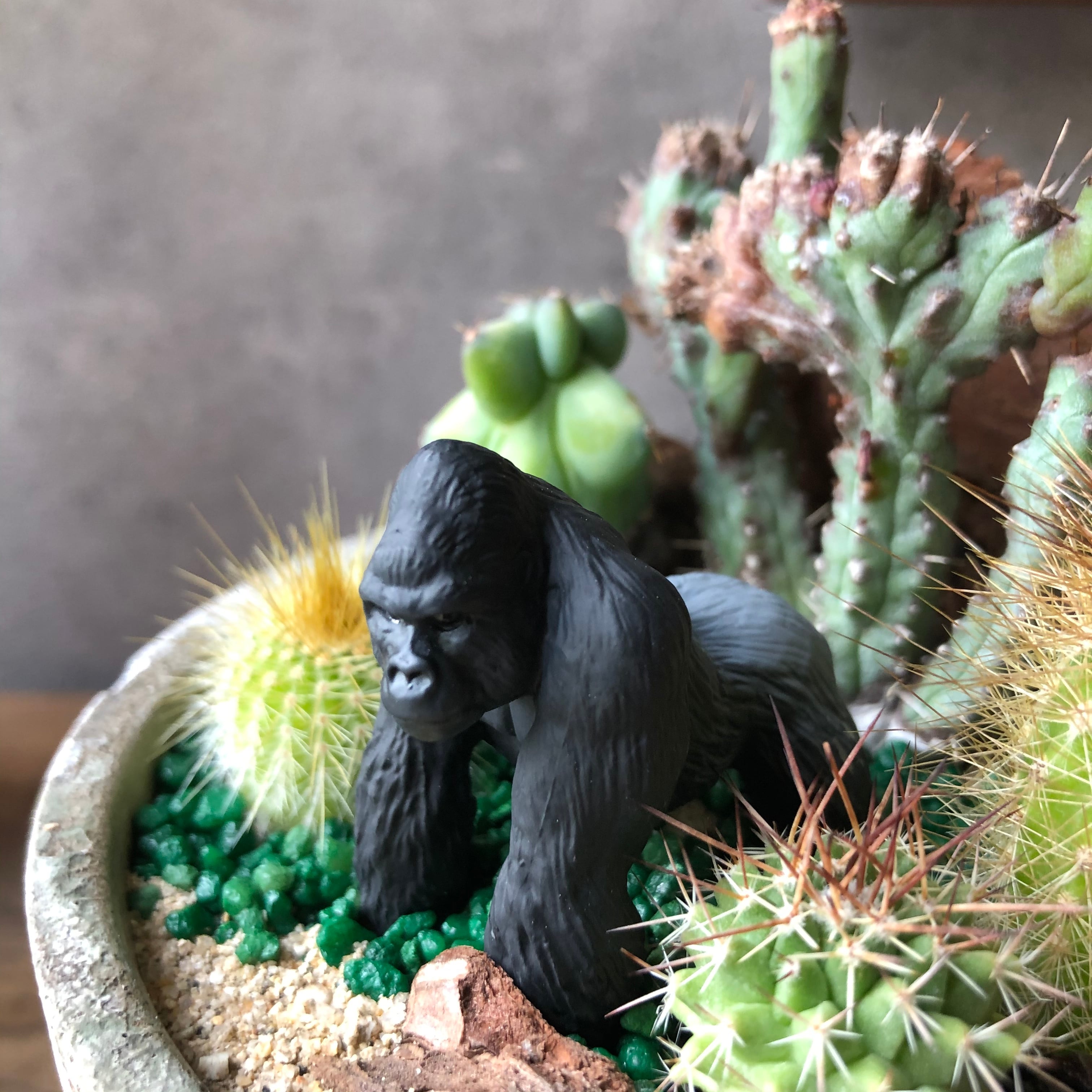 3a529773e9a94fde095d503d01ecd8