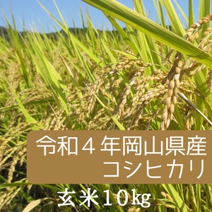 【新米】令和4年岡山県産ミルキークイーン玄米10kg（精米可）