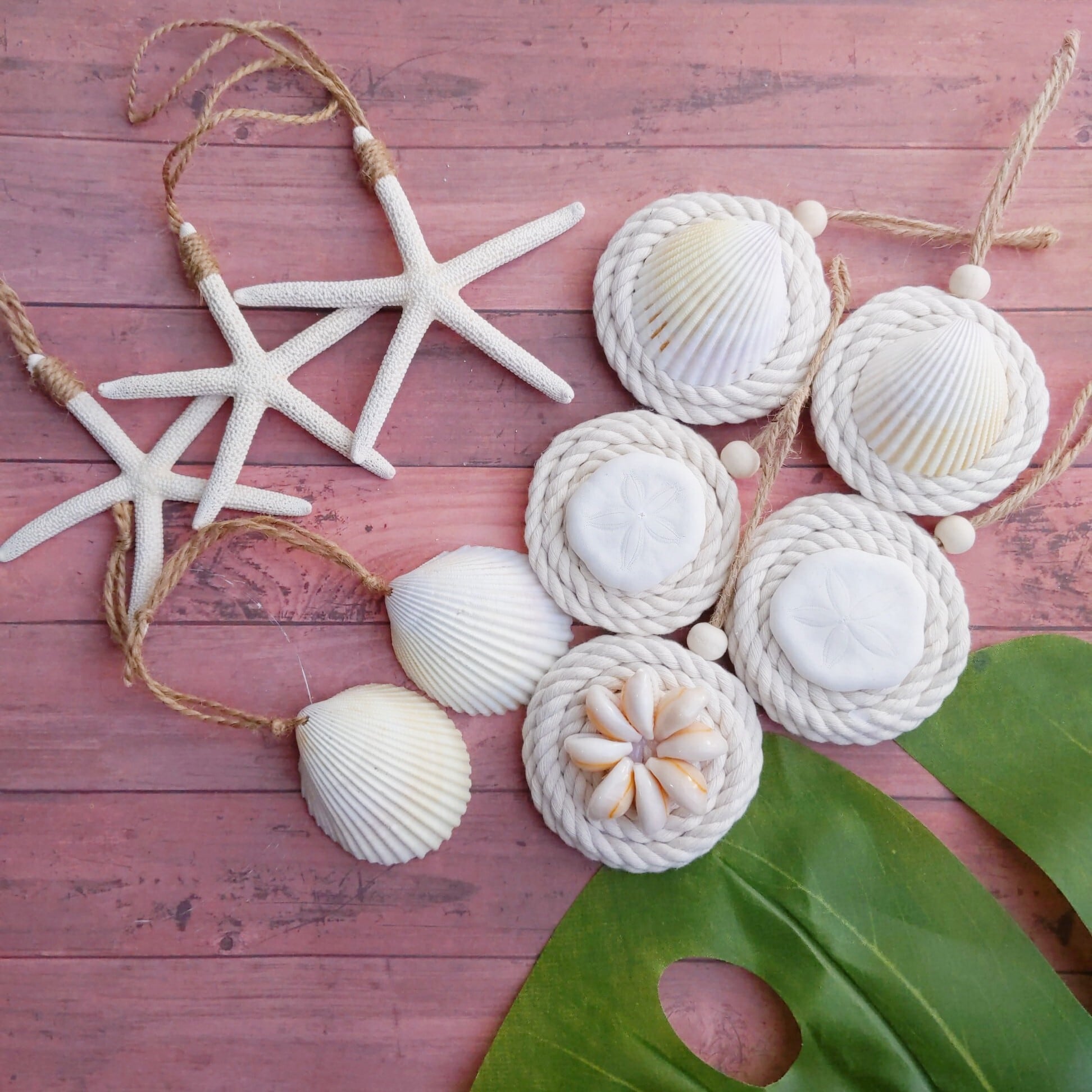 貝殻貝殻リースシェルリース大小二点セットハワイ南国インテリア海夏