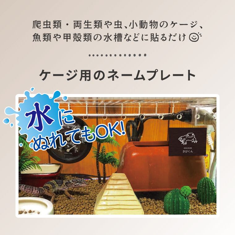 フクロモモンガ　オーダーページ ゲージ・水槽用ネームプレート ☆フクロモモンガのイラスト入り