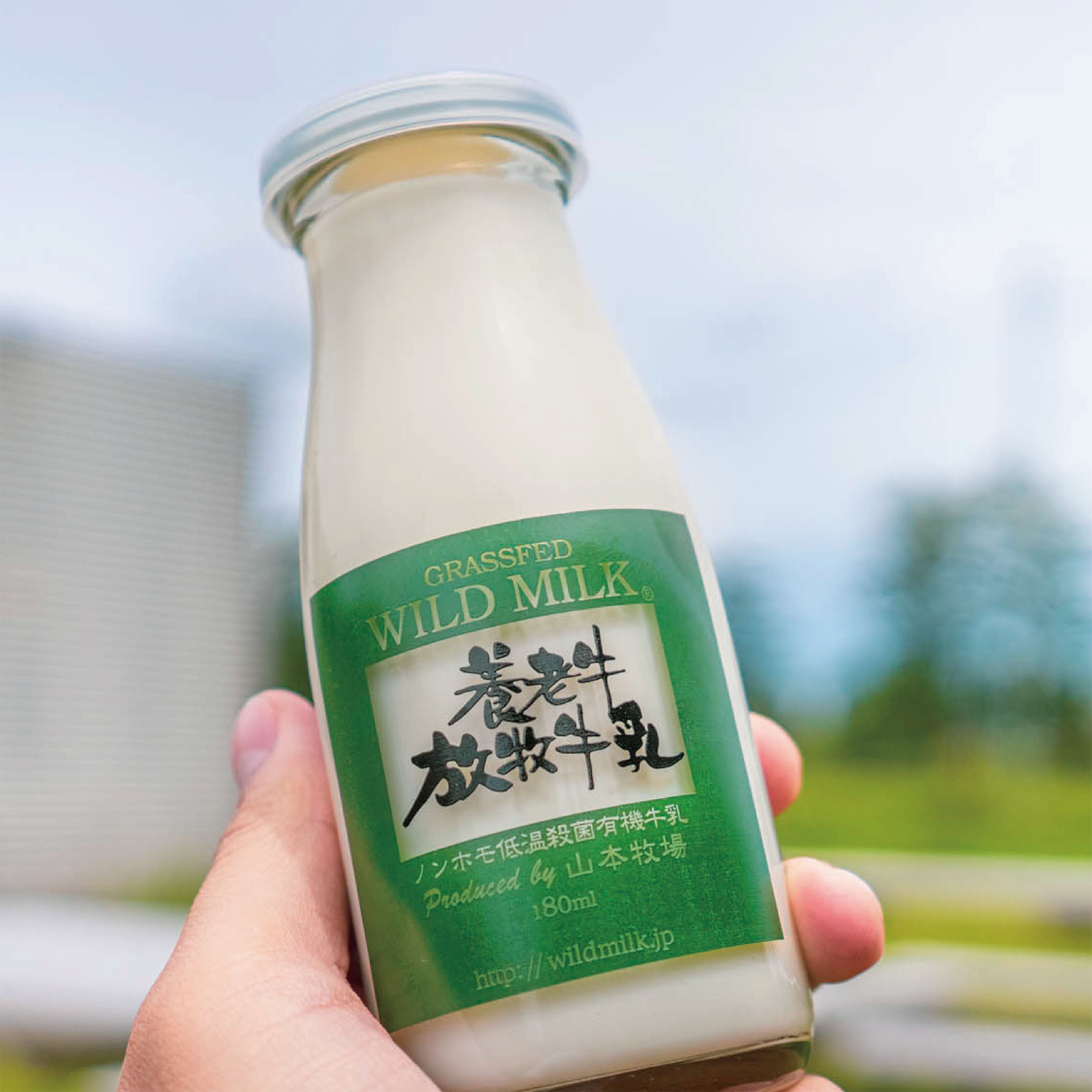 送料無料》【絶品?北海道の有機JAS認証】養老牛放牧牛乳 180ml×6本