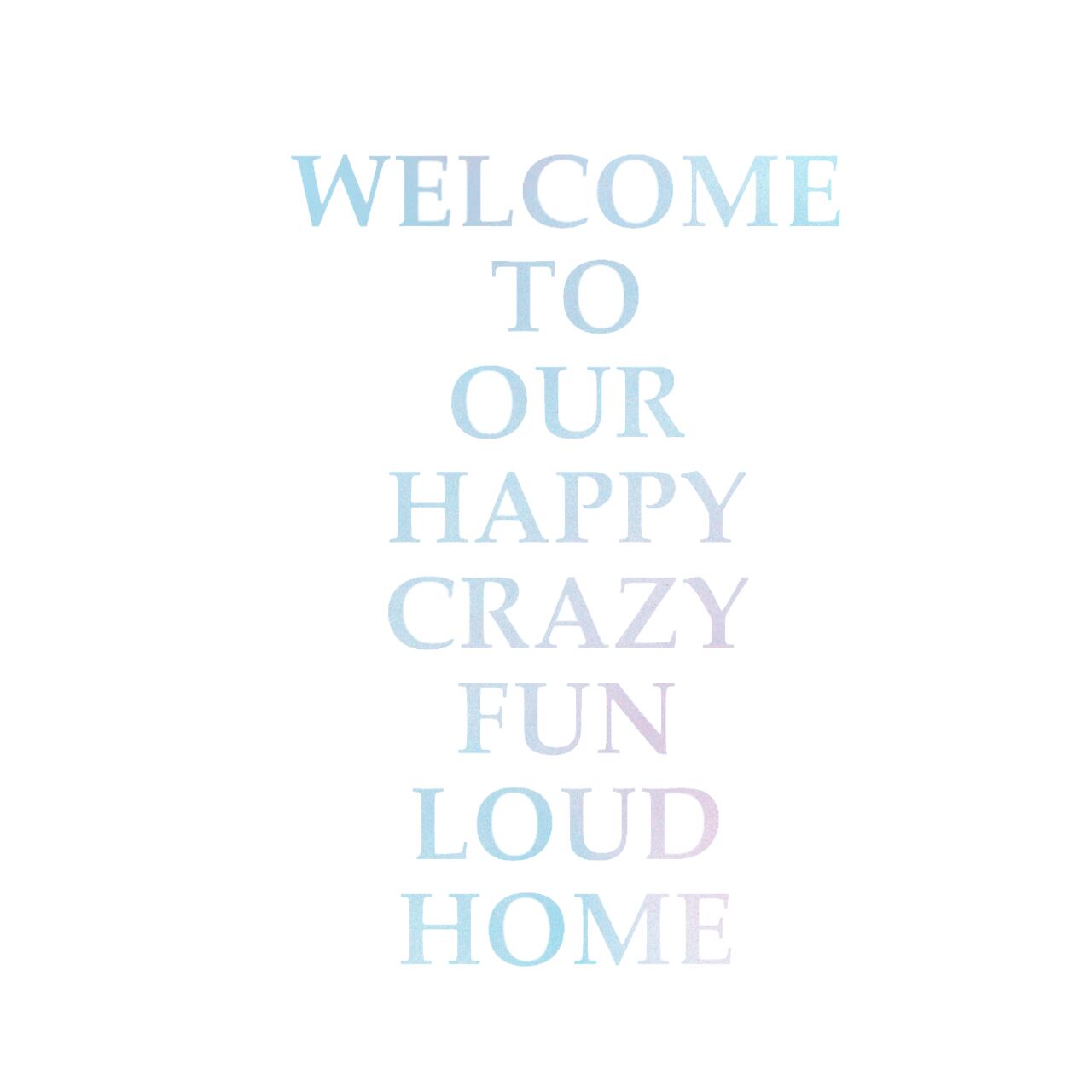 ウォールステッカー 名言 空ピンク 光沢 英字 HAPPY CRAZY FUN LOUD HOME 玄関 ウェルカムボード スプレーアート