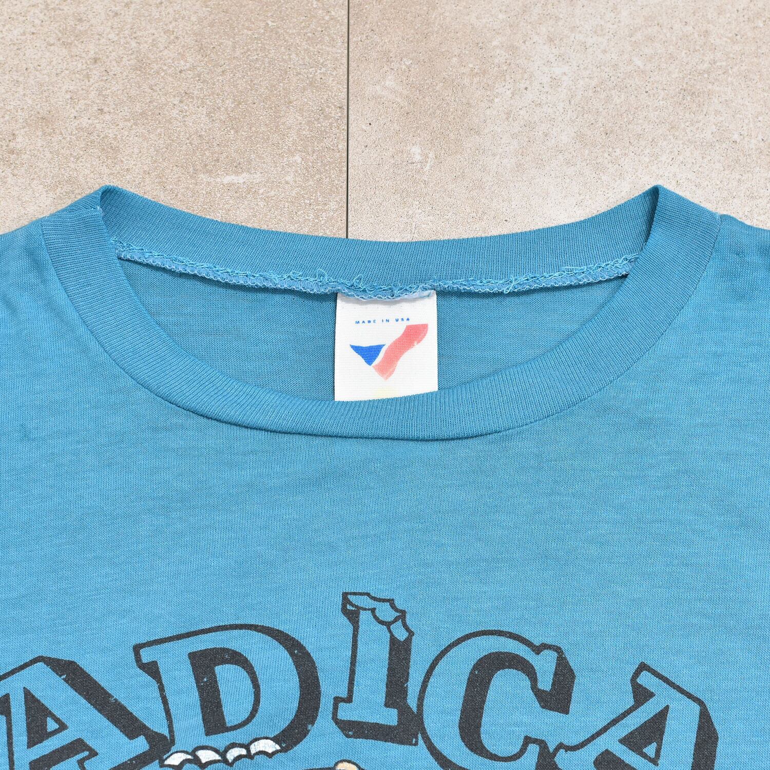80s USA LOONEY TUNES Tasmanian Devil T-shirt | 古着屋 grin days