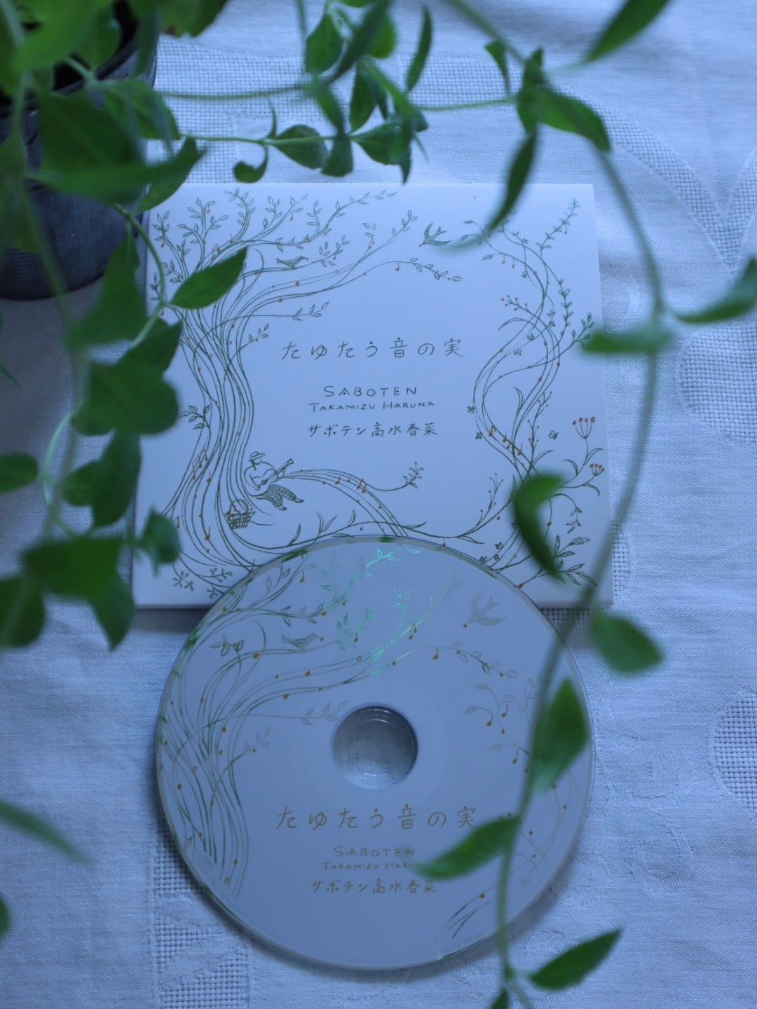 saboten-takamizuharuna-music