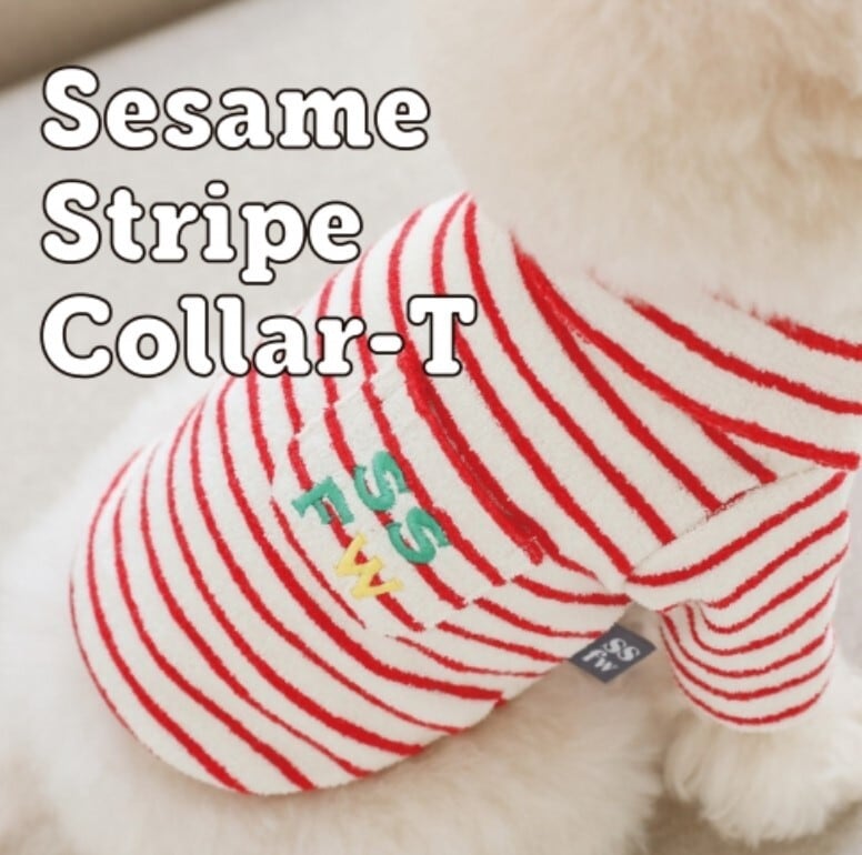 S.M.L.XL/即納【SSFW】Sesami Stripe Collar T《Red》