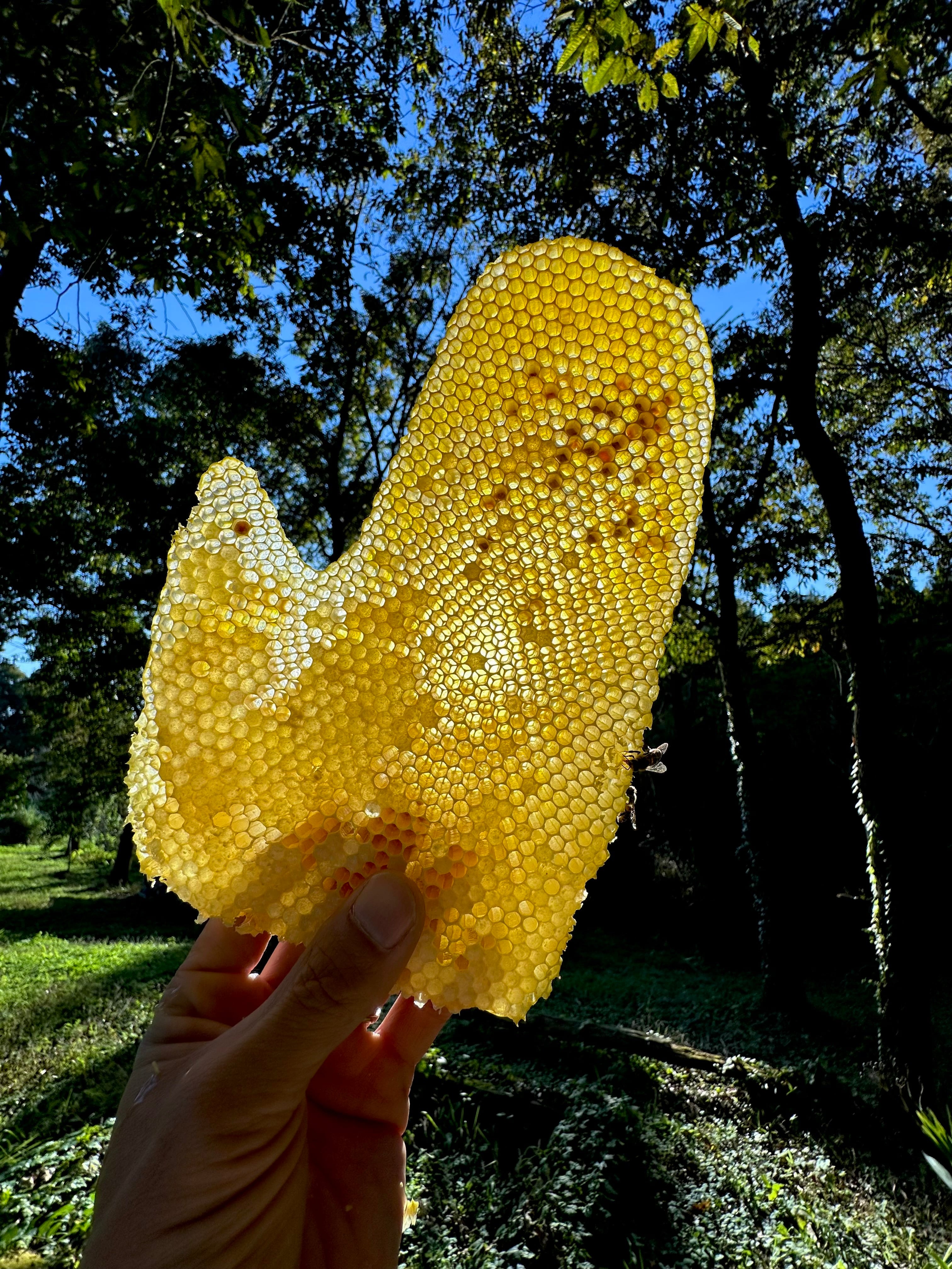 はちみつ様・ご検討中 143c4d1e97b61d144fe5b8cade4d51