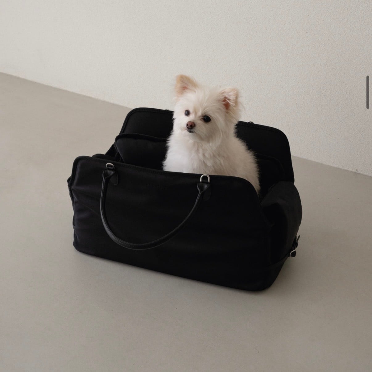 ours lippu】 | ropet