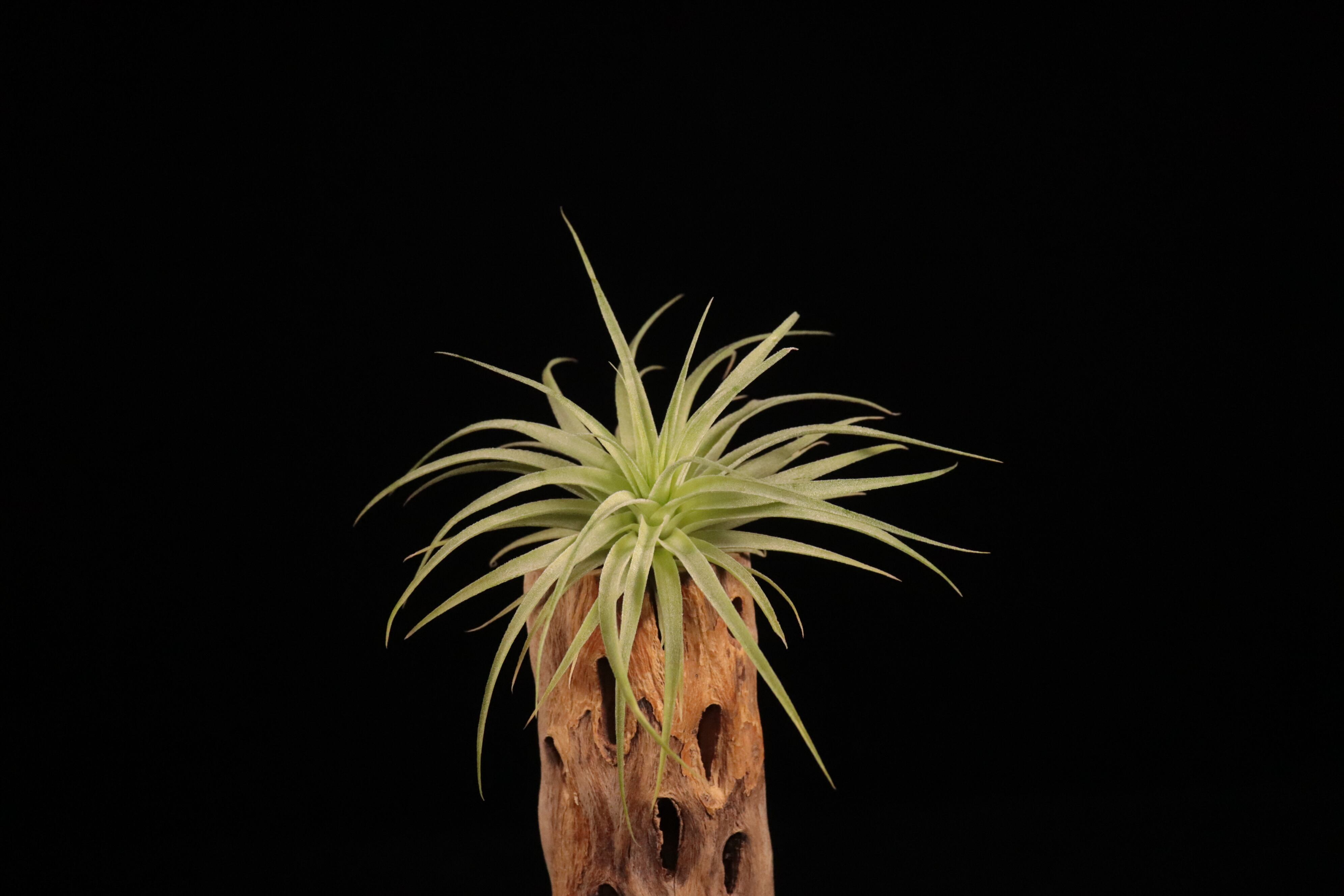 3a714c118da0012e185c599c041bb8