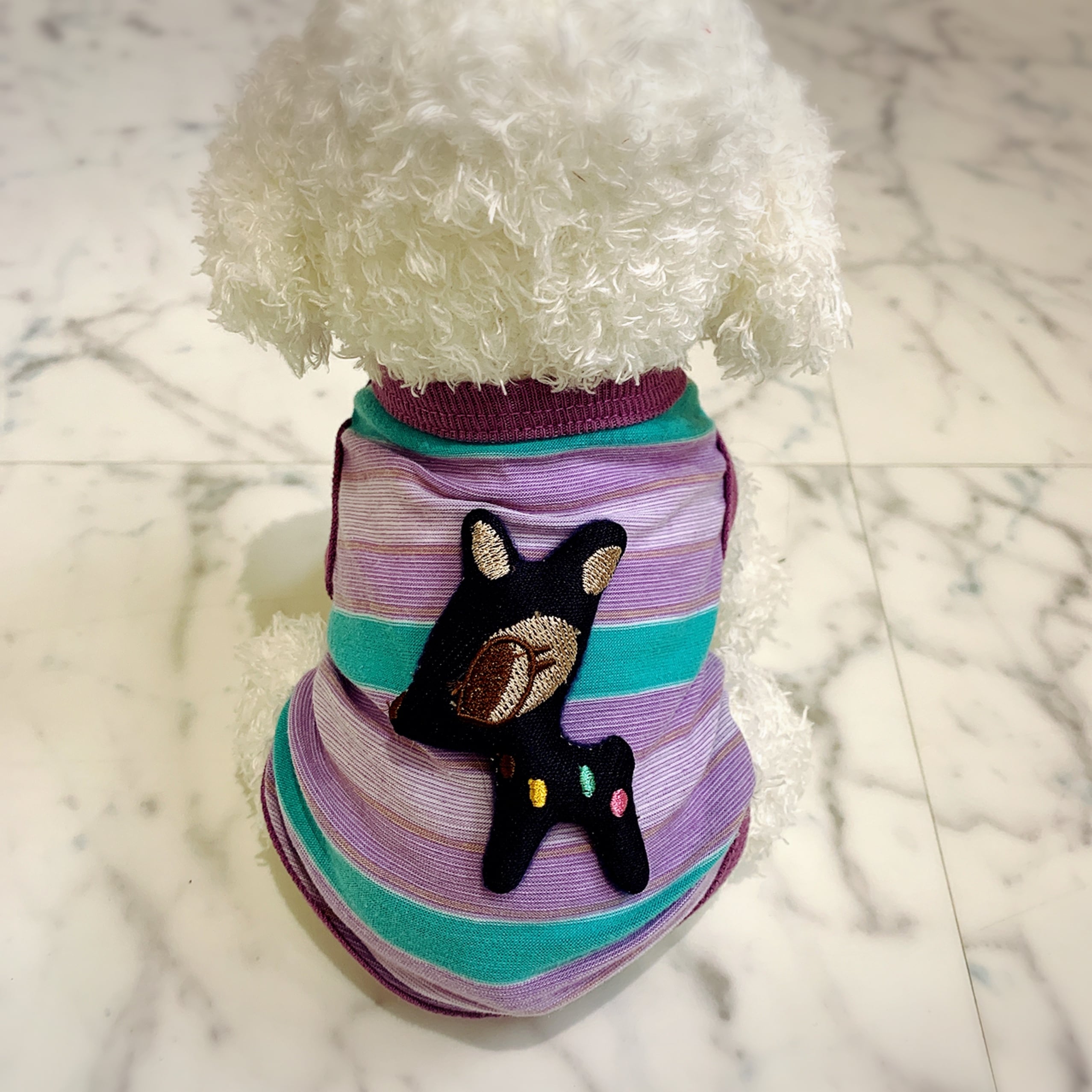 超小型犬・パピー犬 スモールサイズ | ronkichimaru(ロンキチマル