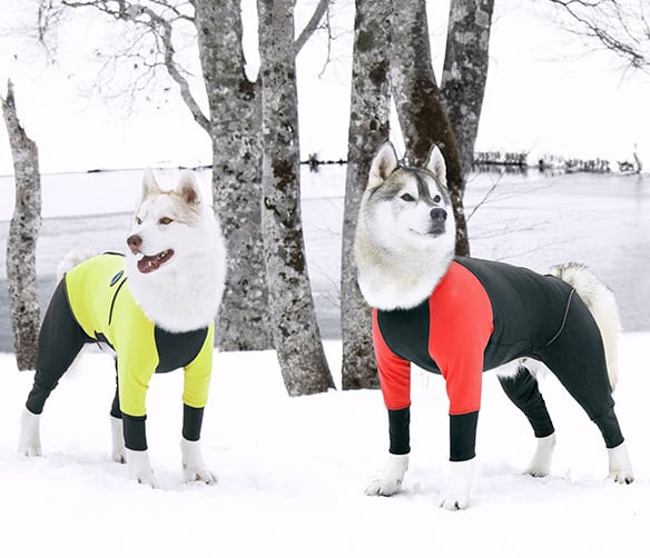 アルファアイコン ダブルフルドッグガードM ALPHAICON ダブルフル