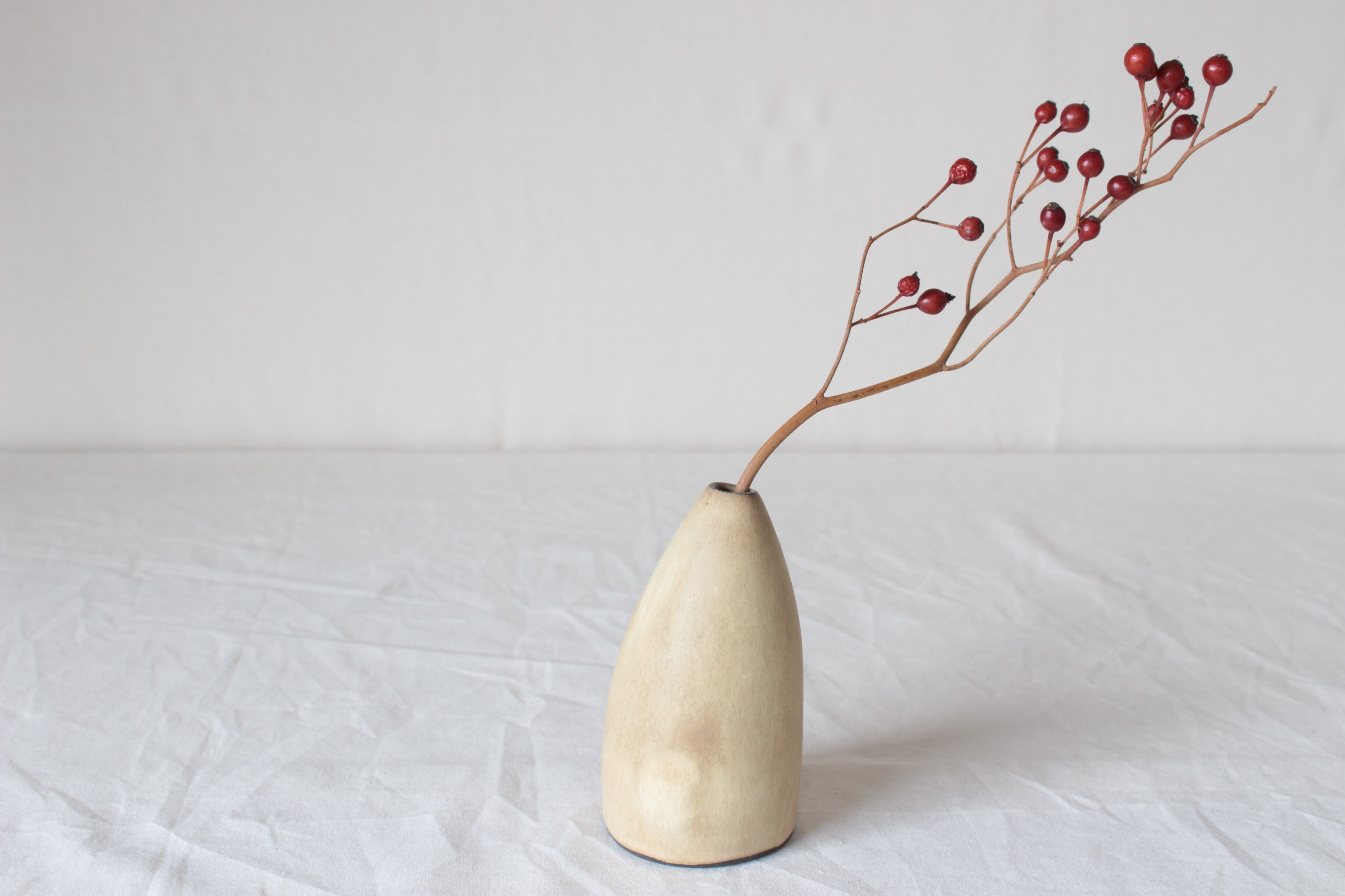 大森健司　花器　一輪挿し 大森健司 | FUURO