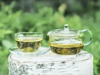 白樺茶 3包入×3個セット