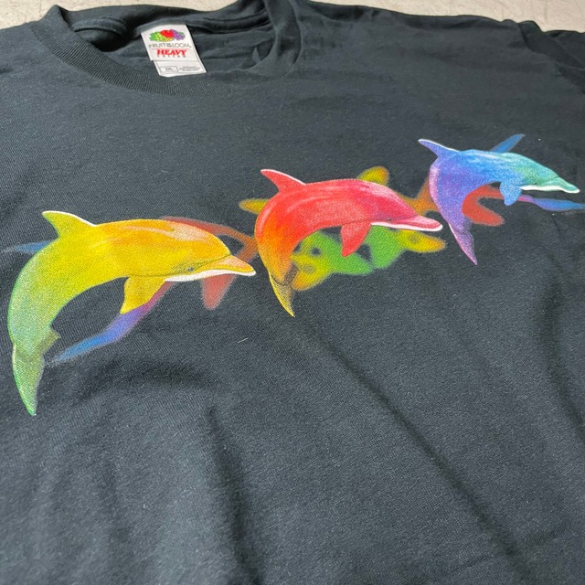 GRADATION DOLPHIN  T's