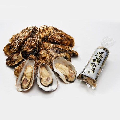 【要加熱】後藤水産 鳴瀬牡蠣むき身500g 1本・殻付き牡蠣20個