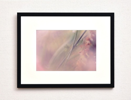 ドライフラワー