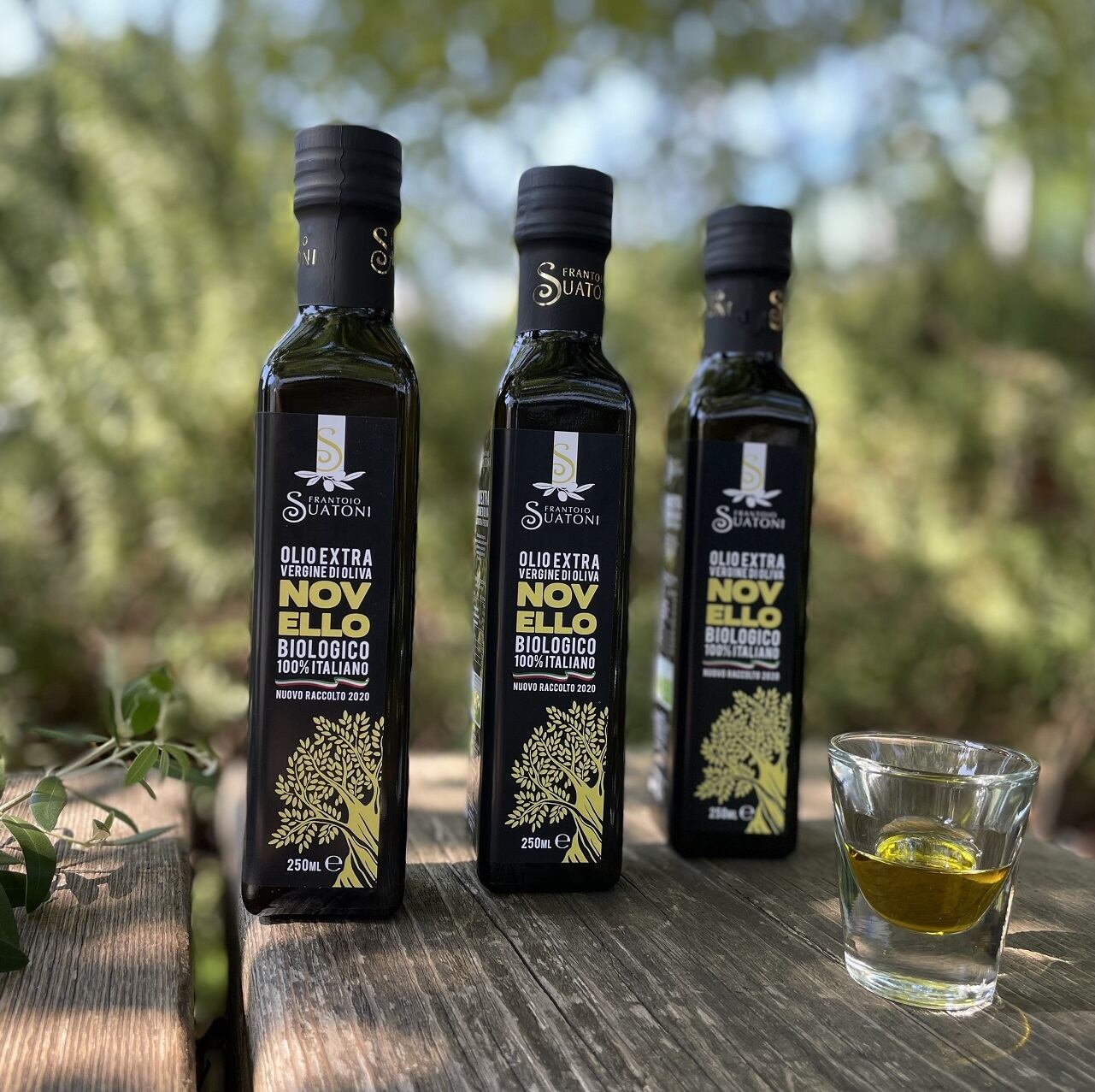 スアトーニ エクストラヴァージンオリーブオイル 21 250ml瓶 アンビットスタイルショップ