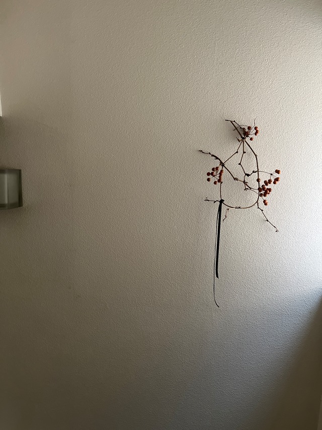 サンキライ　リース　Sankirai Wreath　