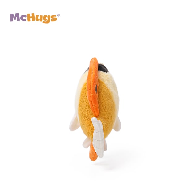 Honey Butterflyfish_MC400429