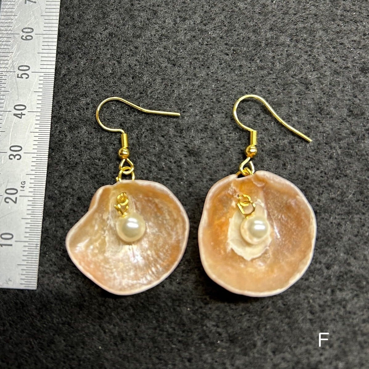 ナミマガシワのイアリング＆ピアス | 海の博物館ミュージアムショップ