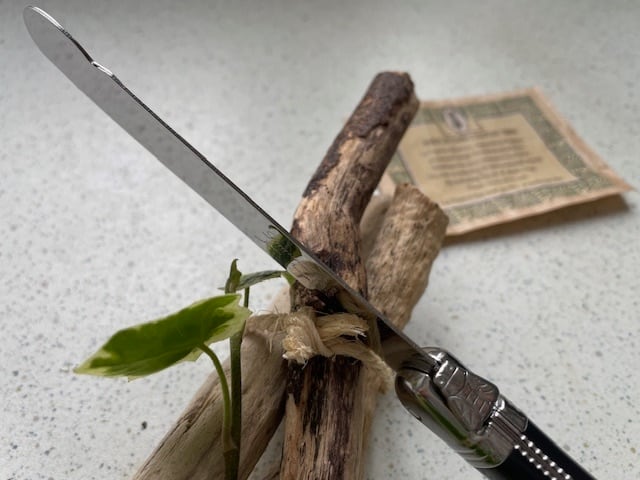 Platine付きフランス製品Laguioleラギオールジャムナイフ バター塗る