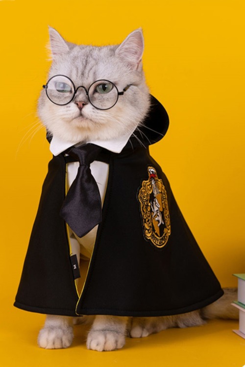 ペット用 コスプレ衣装 猫服 犬服 ハリーポッター Harry Potter 風 ホグワーツ魔法魔術学校 ハッフルパフ マント 受注品 文化雑貨スタジオ凛 コスプレ 撮影用衣装 ウィッグ 小道具 武器 雑貨 の通販サイト